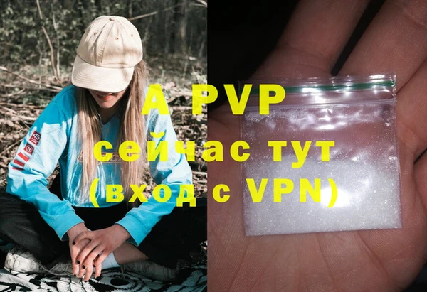 ПСИЛОЦИБИНОВЫЕ ГРИБЫ Навашино