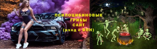 ПСИЛОЦИБИНОВЫЕ ГРИБЫ Навашино