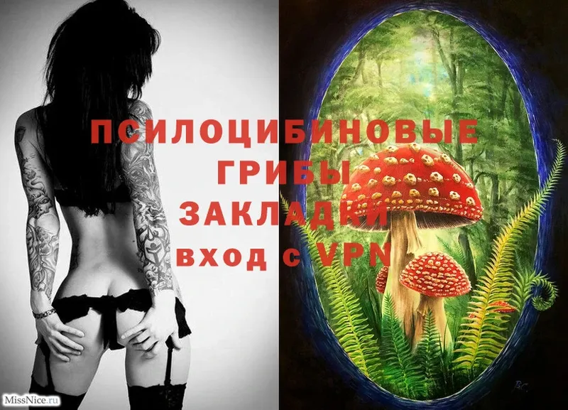 купить наркотики сайты  Катав-Ивановск  Псилоцибиновые грибы Magic Shrooms 