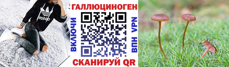 купить наркотик  Катав-Ивановск  Галлюциногенные грибы ЛСД 